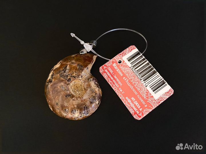 Кулон подвеска аммонит натуральный