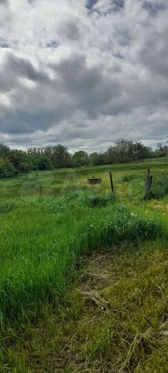 Участок 40 сот. (ИЖС)