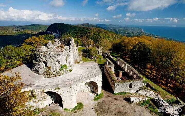 Индивидуальный тур в Абхазию / Озеро Рица