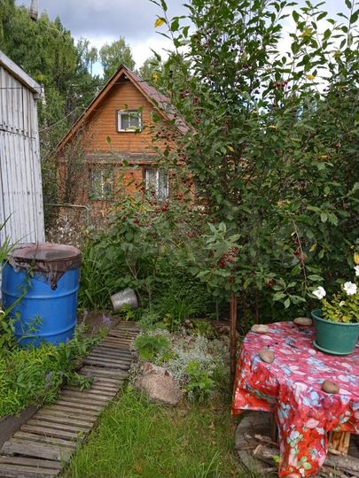 Дача 45 м² на участке 5,1 сот.