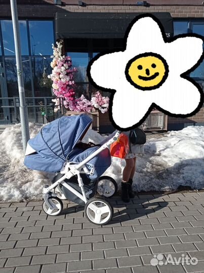 Коляска 2 в 1 adamex