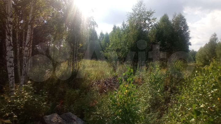 Участок 12 сот. (СНТ, ДНП)