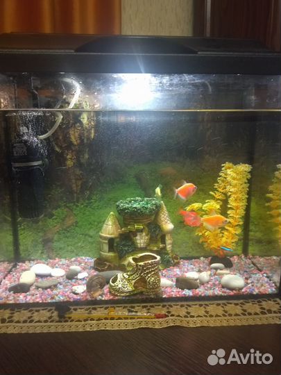 Аквариум