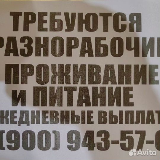 Требуются разнорабочие с ежедневной оплатой