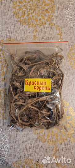 Красный корень(копеечник)