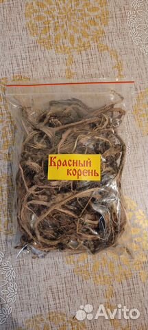 Красный корень(копеечник)
