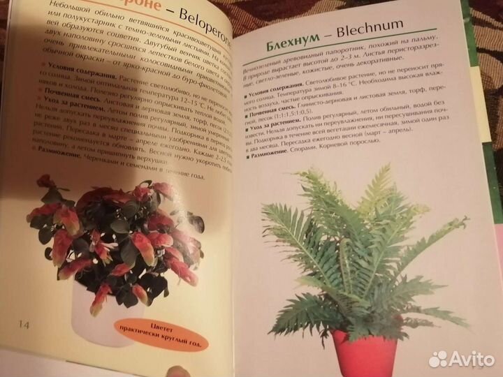 Книги из домашней библиотеки