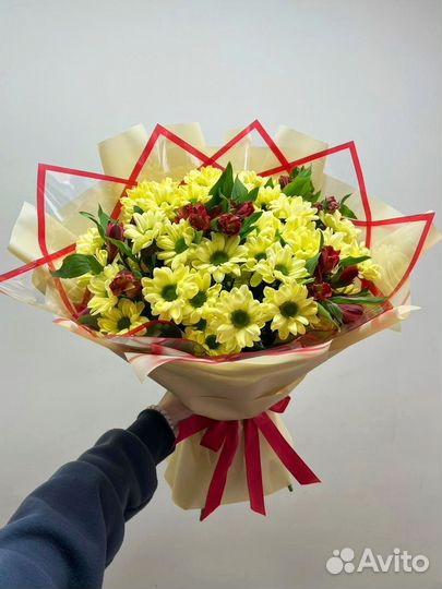 Хризантема чик голландия