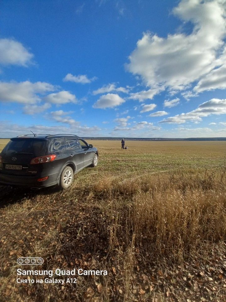 Hyundai Santa Fe: фото владельца