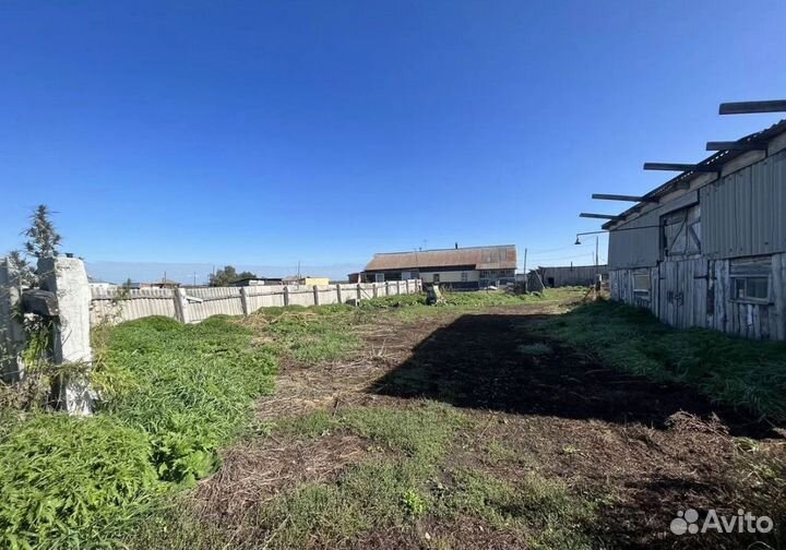 Продам ферму