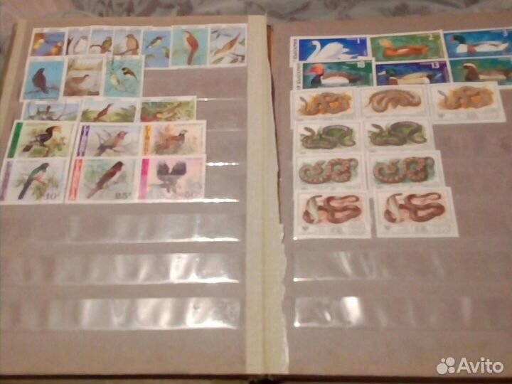 Монеты, банкноты, марки