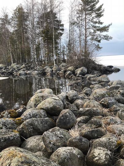 Коттедж 129 м² на участке 99 сот.