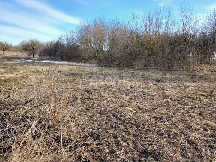 Участок 13 сот. (личное подсобное хозяйство (лпх))