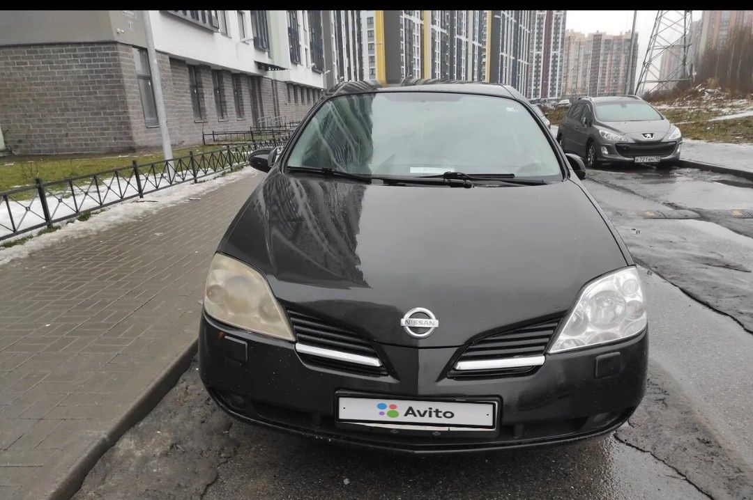 Nissan Primera: фото владельца