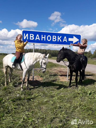 Катание на лошадях