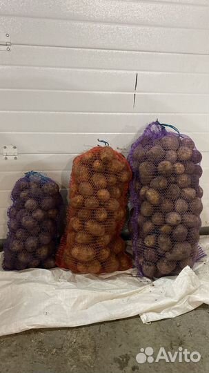 Вкусный и крупный картофель с доставкой