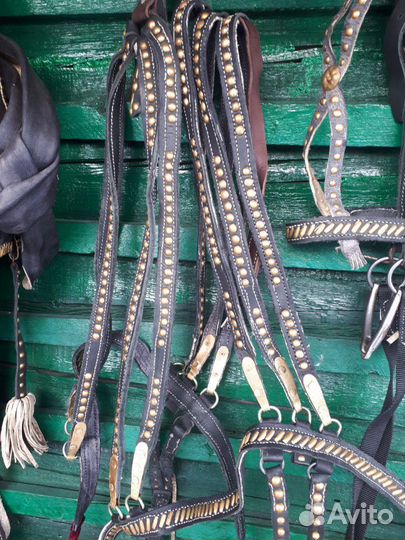 Сбруя для лошади