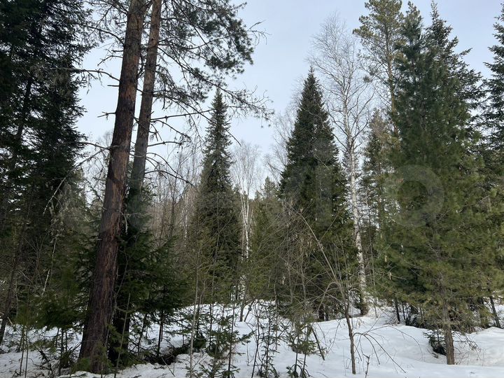 Участок 28,6 сот. (ИЖС)
