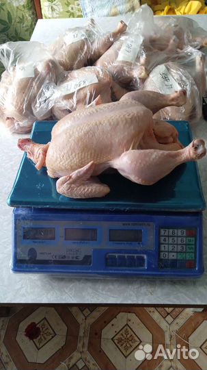 Мясо курицы