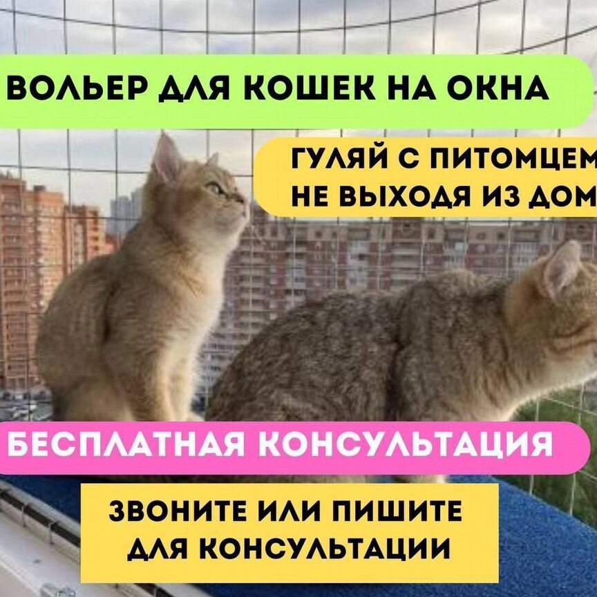 Балкончик для выгула кошки