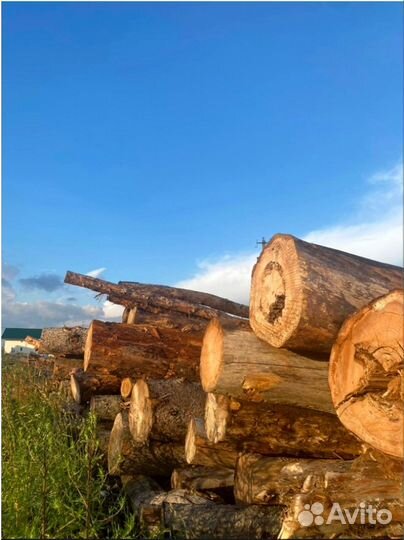 Колотые дрова