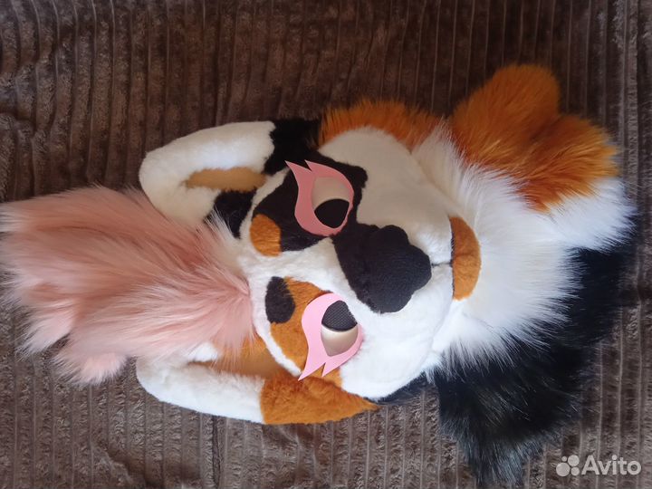 Фурсьют кошки