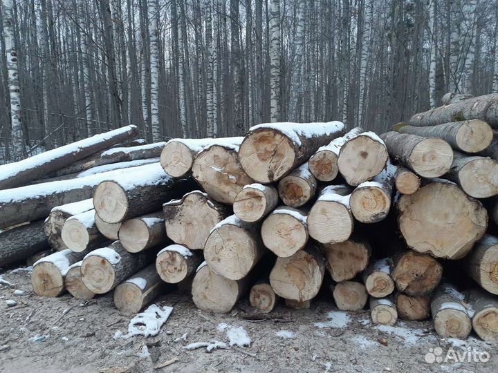 Имеется в продаже Осина,Липа,Береза и Хвоя