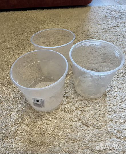 Горшки и кашпо для орхидей