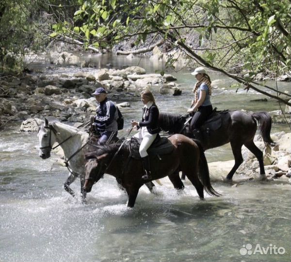 Прогулки на лошадях в Адлере + трасфер