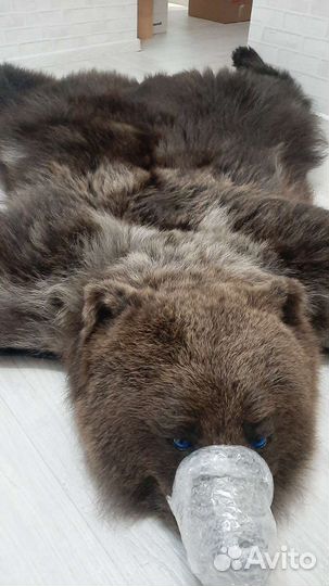 Межвежя шкура