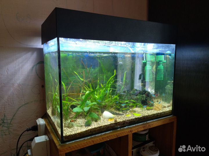 Аквариум