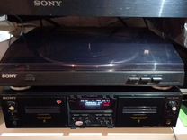 помещение выставка зелень в палисад. русский язык 6 класс ладыженская упражнение 329. русский язык 8 класс ладыженская упражнение 330. русский язык 8 класс тростенцова упражнение 330. 330 упражнение по русскому 6 класс.