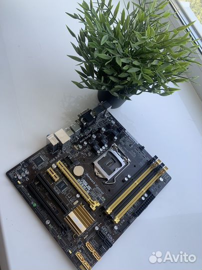 Материнская плата asus B85M-E