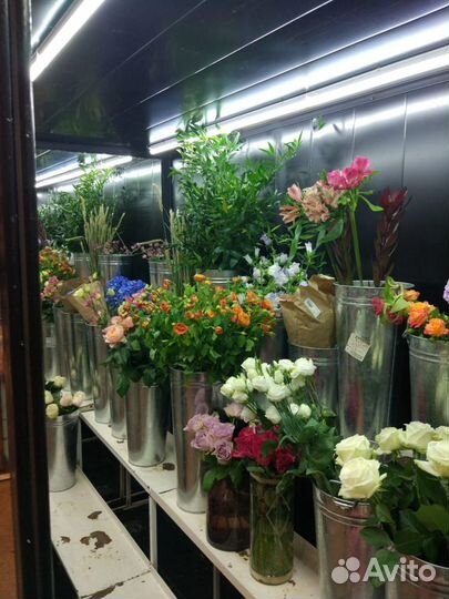 Холодильная камера для хранения и выставки цветов