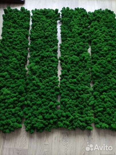 Мох Панели Полоски Панно