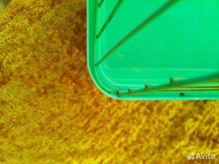 Клетка для грызунов бу