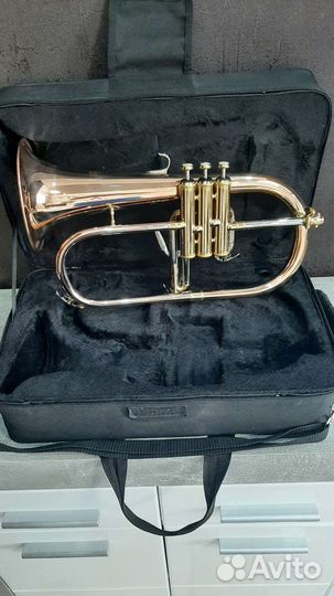 Флюгельгорн