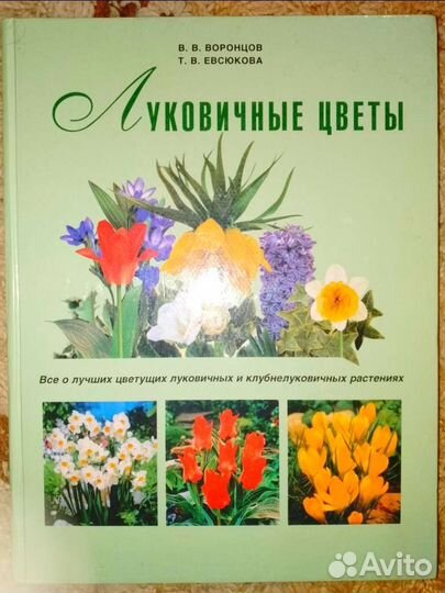 Альбом с книгами 6