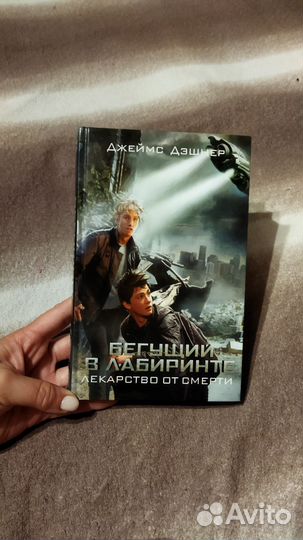 Бегущий в лабиринте