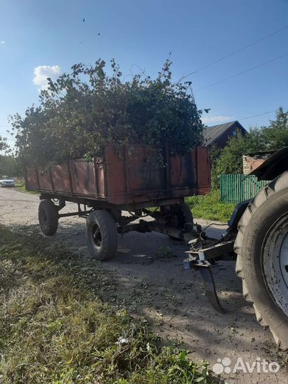 Вывоз мусора,вспашка земли,грузчики,спил деревьев