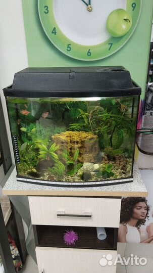 Аквариум