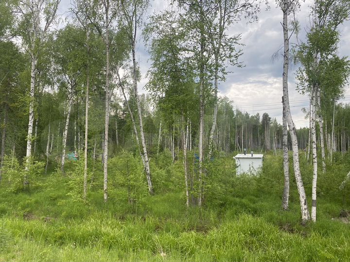 Участок 10 сот. (ИЖС)