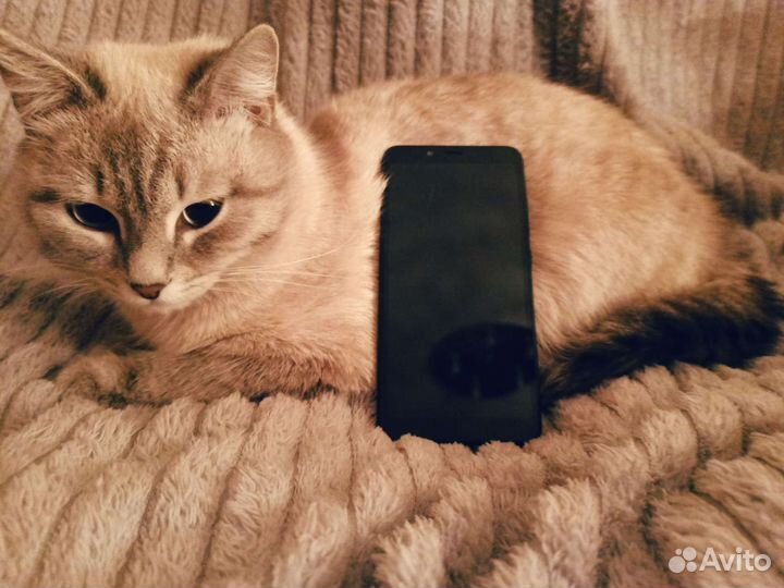 Телефон xiaomi redmi 6A