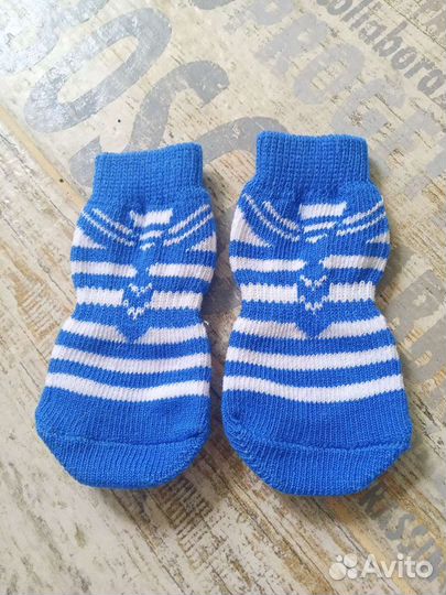 Носки для собак