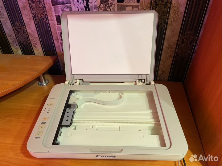 Принтер Canon mg2440
