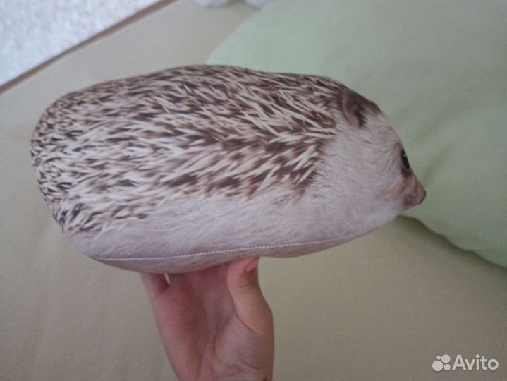 Мягкая игрушка ежик хренобус