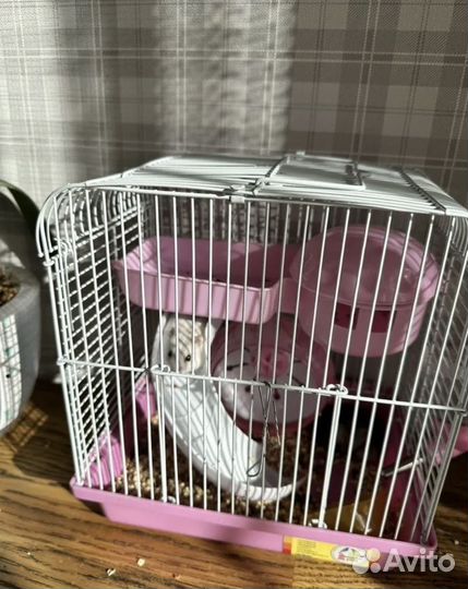 Клетка для грызунов бу