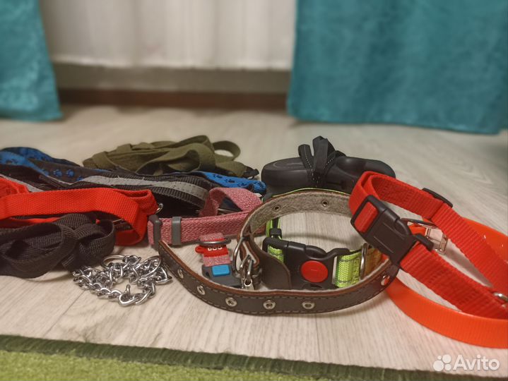 Амуниция для собак