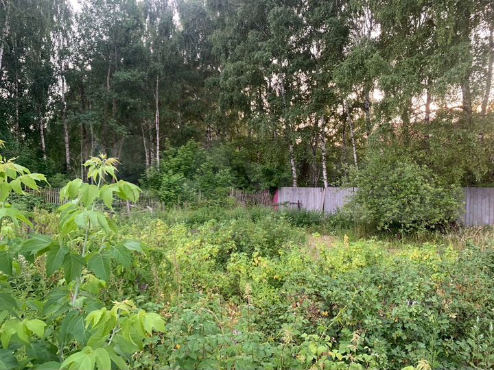 Участок 12 сот. (СНТ, ДНП)