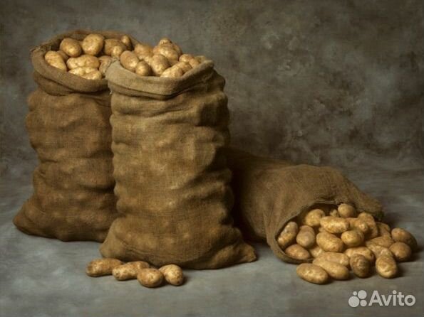 Картофель с доставкой на дом бесплатно